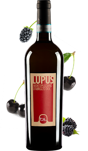 LUPUS Montepulciano d'Abruzzo DOC ORGANIC - Cantine Tilli