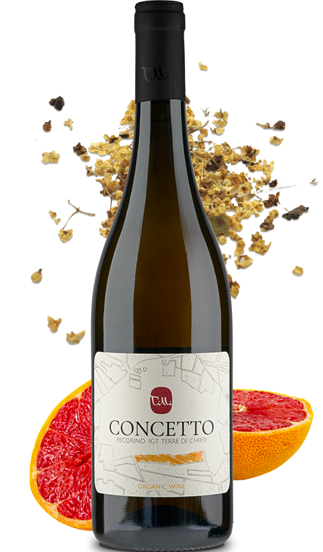 Concetto Pecorino BIO IGT Terre di Chieti - Cantine Tilli