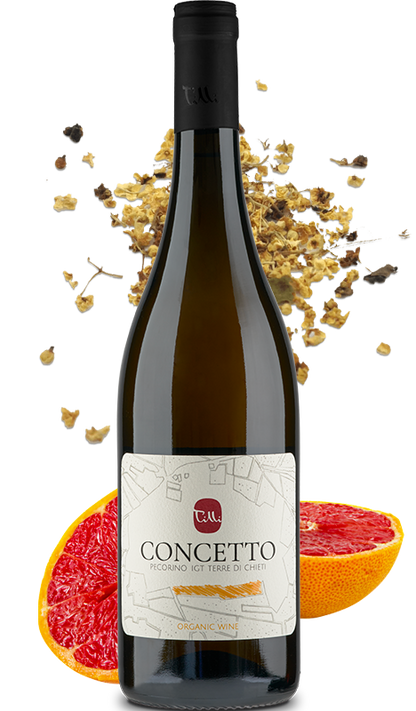 Concetto Pecorino BIO IGT Terre di Chieti - Cantine Tilli